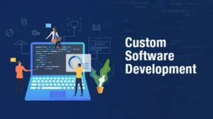 Custom Software Development